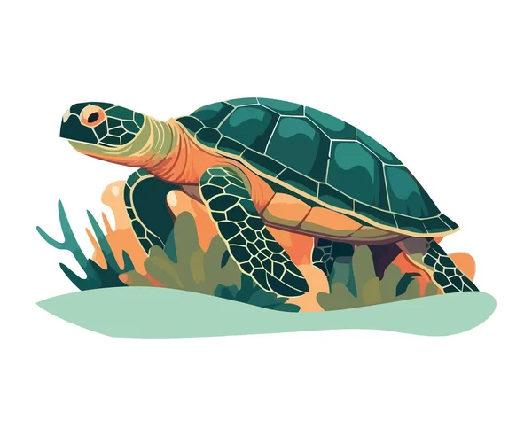 Niedliches Schildkrötenmaskottchen Kriecht Langsam Isoliert — Stockvektor
