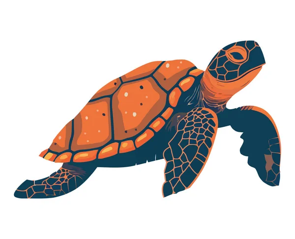Морская Черепаха Угрозой Исчезновения Медленно Изолируется — стоковый вектор