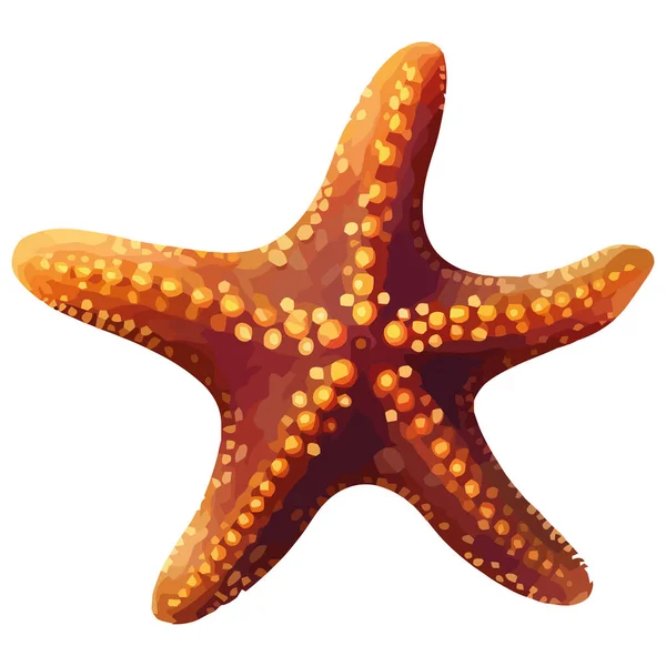 Espiral Estrellas Mar Belleza Submarina Aislada — Vector de stock