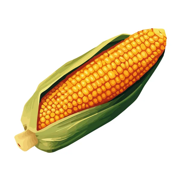 Świeża Ekologiczna Kukurydza Cukrowa Dla Zdrowego Odżywiania Ikony — Wektor stockowy