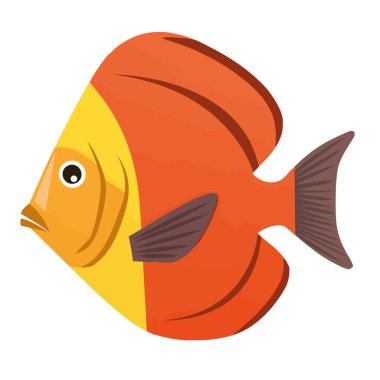 Tropik resif cennet ikonundaki balıklar izole edildi