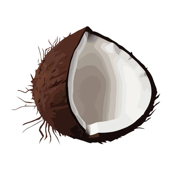 Noix Coco Fruits Nutritifs Icône Lait Isolé — Image vectorielle