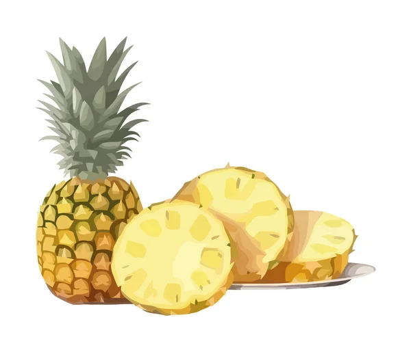 多汁的菠萝片 新鲜自热带自然的象征分离 — 图库矢量图片