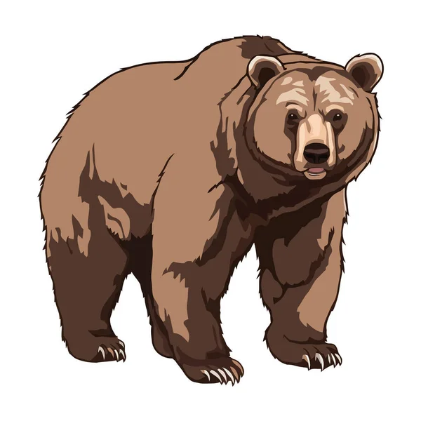 Roztomilý Medvěd Grizzly Chůze Přírodě Ikona Izolované — Stockový vektor