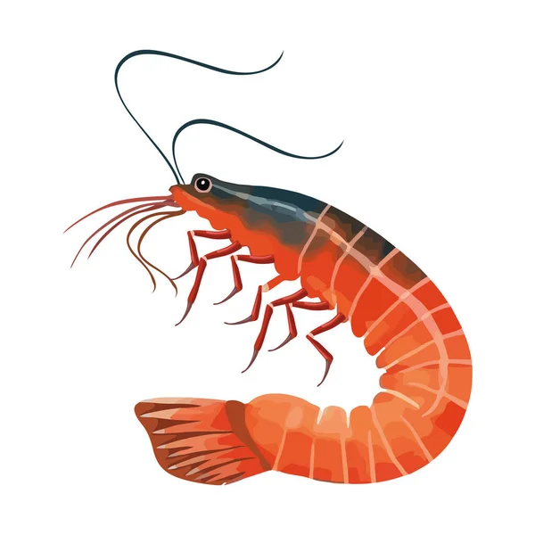 Podvodní Mořské Plody Čerstvé Krevety Ikona Izolované — Stockový vektor