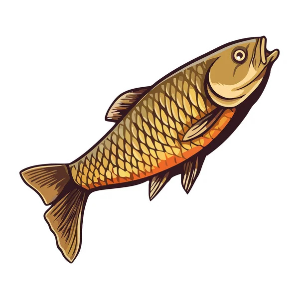 Fresh Carp Seafood Icon Design Isolated — Stock Vector
