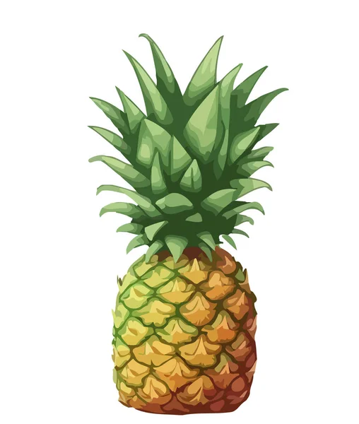 Freshness Sweetness Pineapple Tropical Fruit Icon Isolated — Stock Vector