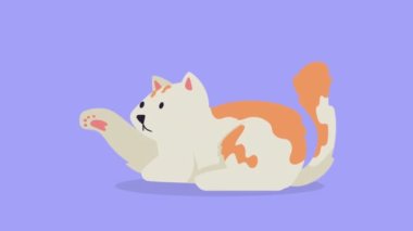 Tatlı turuncu ve beyaz kedi maskotu karakter animasyonu 4k video animasyonu