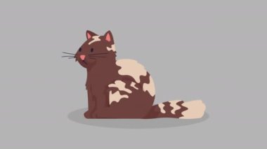 Şirin kahverengi ve beyaz kedi maskotu karakter animasyonu 4k video animasyonu