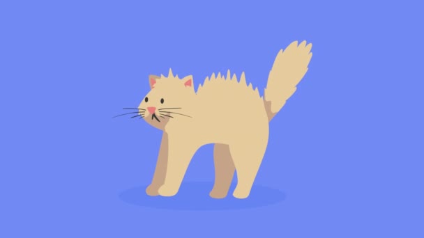 Cute Beige Cat Mascot Character Animation Video Animated — Stock Video