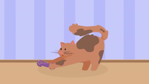 Lindo Gato Marrón Mascota Carácter Animación Video Animado — Vídeo de stock