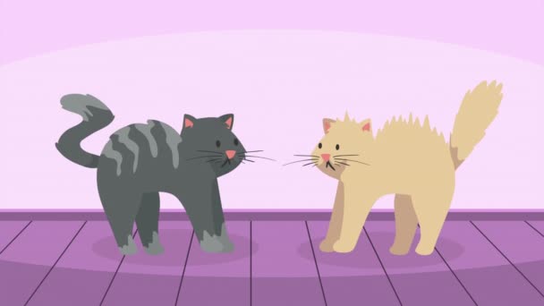 Δύο Γάτες Μασκότ Χαρακτήρες Κινουμένων Σχεδίων Βίντεο Κινουμένων Σχεδίων — Αρχείο Βίντεο