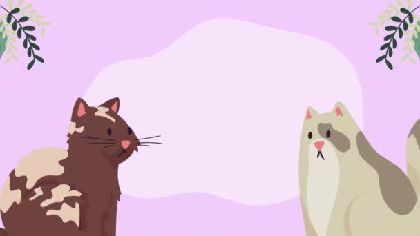 Χαριτωμένες Γάτες Μασκότ Ζευγάρι Χαρακτήρες Κινουμένων Σχεδίων Βίντεο Κινουμένων Σχεδίων — Αρχείο Βίντεο