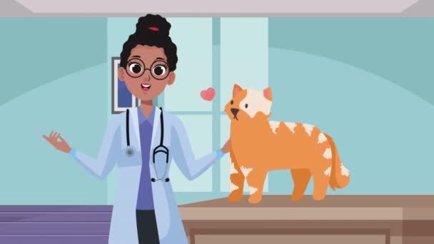 Hondjur Med Katt Maskot Animation Video Animerad — Stockvideo