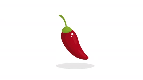 Mexican Culture Chilli Pepper Vegetable Animation Video Animated — Stock Video