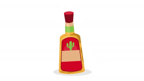 Cultura Mexicana Tequila Bebida Animación Video Animado — Vídeos de Stock
