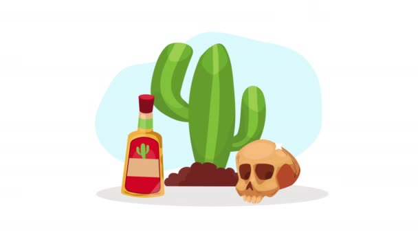 Mexická Kultura Kaktus Animace Rostlin Video Animované — Stock video