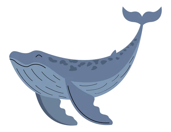ホワイト上のグレークジラのデザイン — ストックベクタ