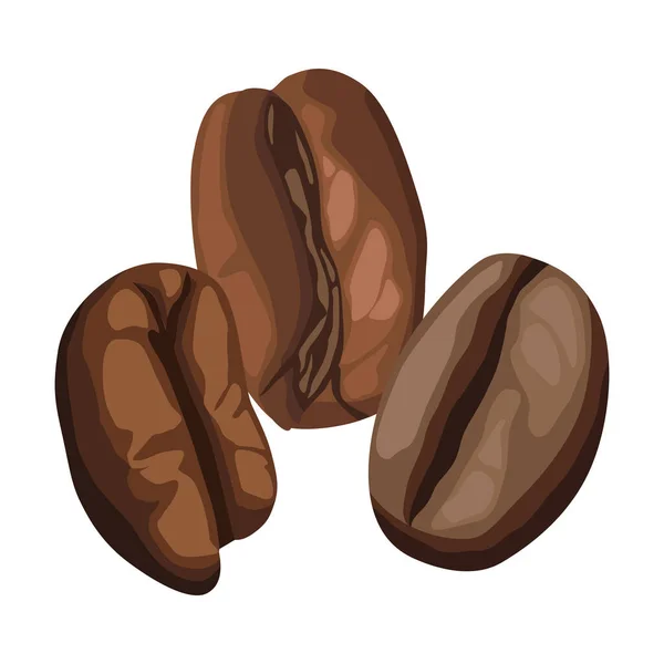 Coffee Dry Beans Icon Isolated — Stock Vector