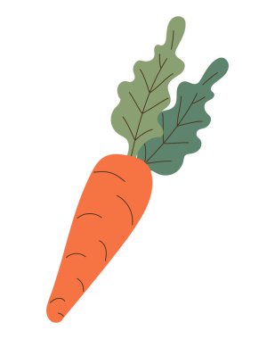 Beyaz üzerine taze havuç tasarımı