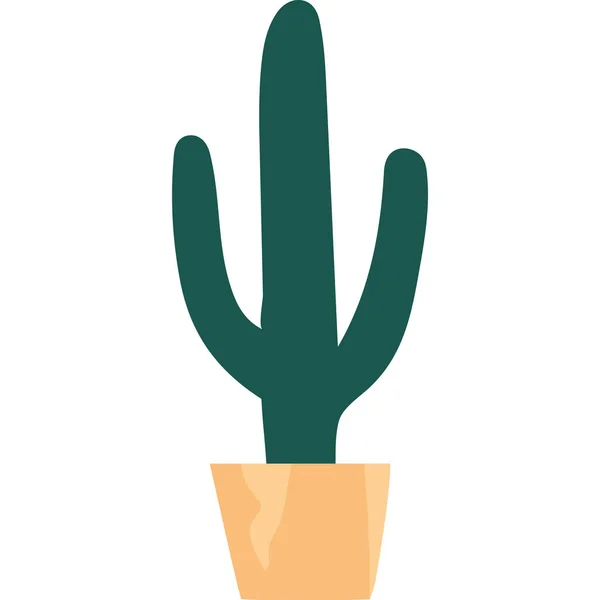 Zimmerpflanze Mit Kaktus Topf — Stockvektor