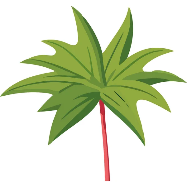 Blatt Der Pflanze Tropische Ikone Isoliert — Stockvektor