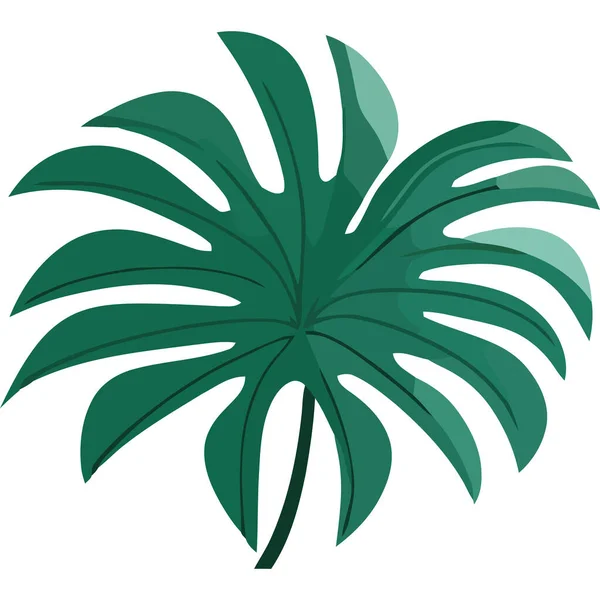 Hoja Tropical Planta Icono Aislado — Vector de stock