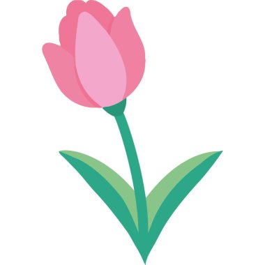 Güzel pembe lale çiçeği simgesi izole