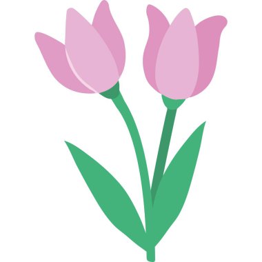 Güzel leylak laleler çiçek ikonu izole