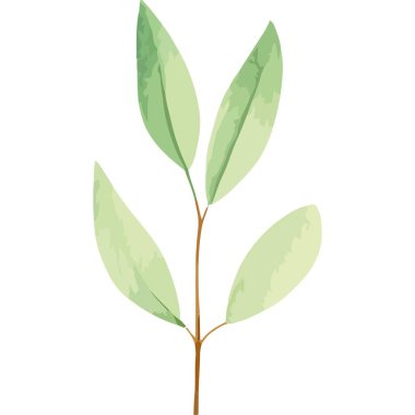 Yeşil yapraklı dal suluboya stili izole