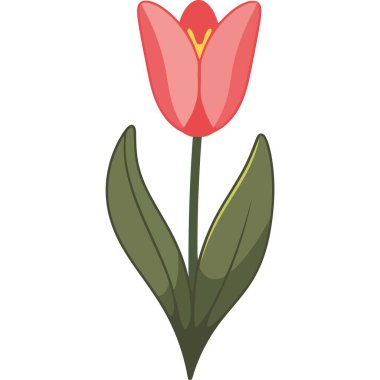 Yaprak ikonu izole edilmiş güzel lale çiçeği