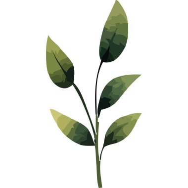 Yapraklı bahçe dalı suluboya izole