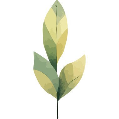 Yeşil yapraklı bitki bahçesi simgesi izole