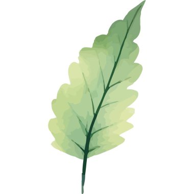 Yeşil yapraklı bitki bahçesi simgesi izole