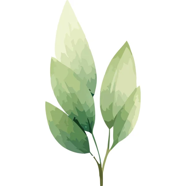 Ветка Зелеными Листьями Акварели Стиль Изолирован — стоковый вектор