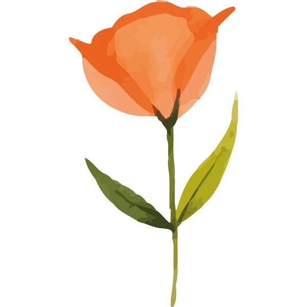 Rose Orange Fleur Jardin Nature Icône Isolé — Image vectorielle