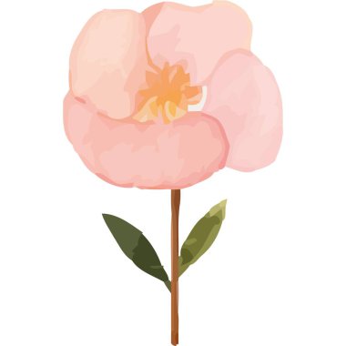 Yaprakları izole pembe çiçek bahçesi