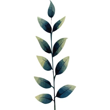 Yapraklı egzotik dal bitki suluboya stili izole