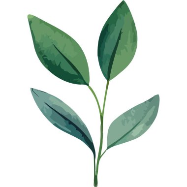 Yapraklı dal bitki suluboya biçimi izole