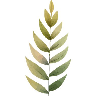 Yapraklı egzotik dal suluboya yalıtılmış