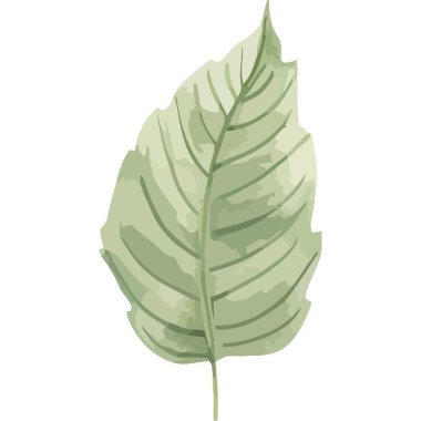 Yeşil yaprak bitkisi doğa ikonu izole