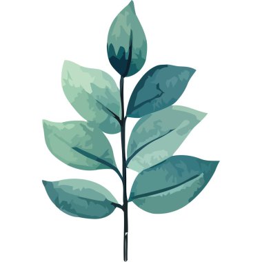 Yapraklı dal suluboya biçimi izole