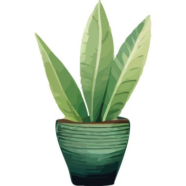 Yeşil saksı ikonundaki bahçe bitkisi izole edildi