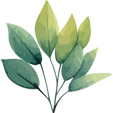 Yapraklı yeşil dal suluboya tarzı izole