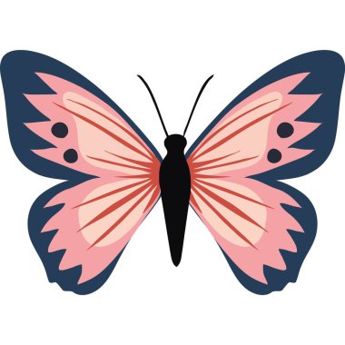 Güzel pembe kelebek Kanatları açık, soyutlanmış