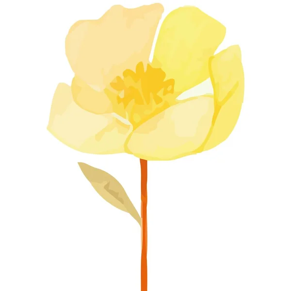Yellow Flower Garden Nature Icon Isolated — Stock Vector