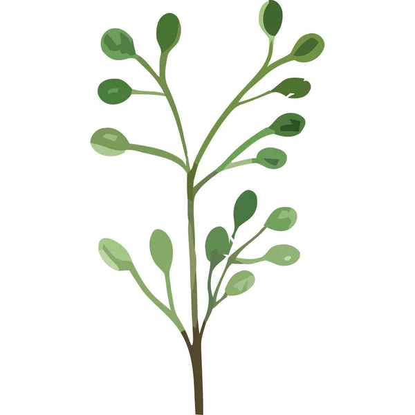 Zweig Mit Stempel Pflanze Aquarell Stil Isoliert — Stockvektor