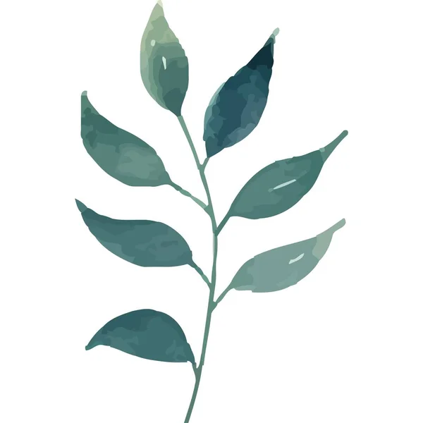 単離された緑の葉の植物の水彩様式の枝 — ストックベクタ