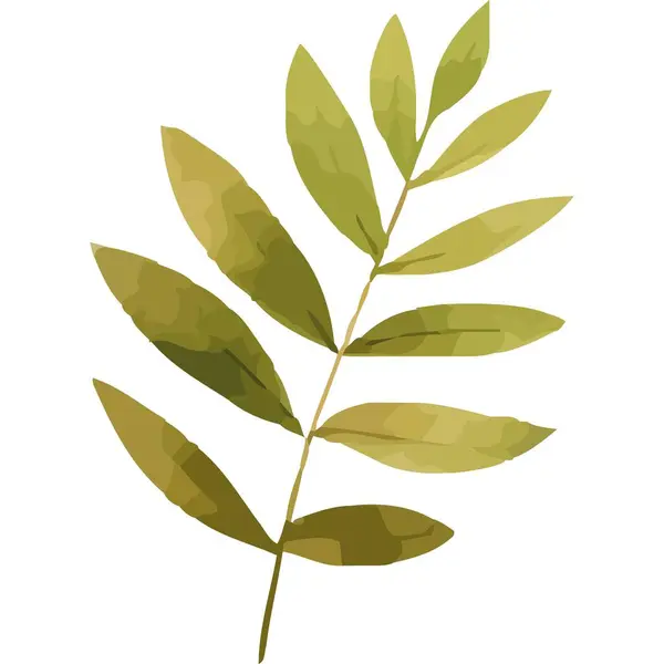 Экзотическая Ветвь Листьями Растительного Стиля Акварели Изолированы — стоковый вектор