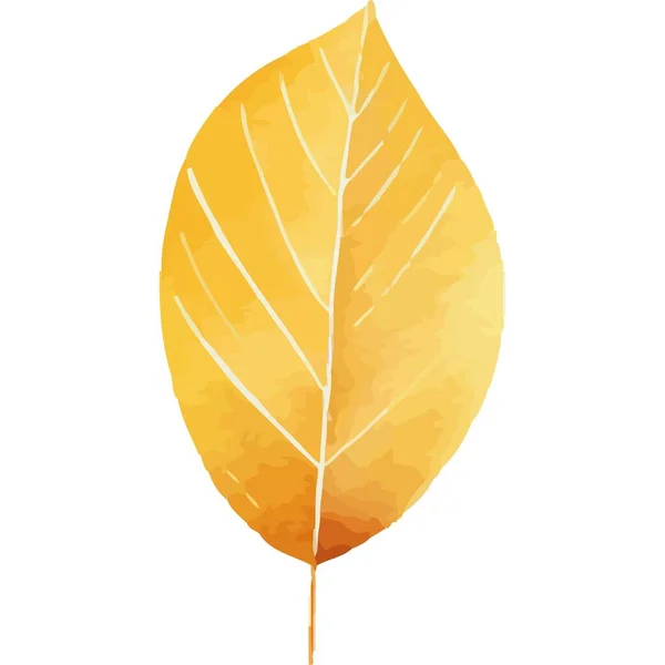 Žlutý List Rostlina Zahrada Příroda Ikona Izolované — Stockový vektor